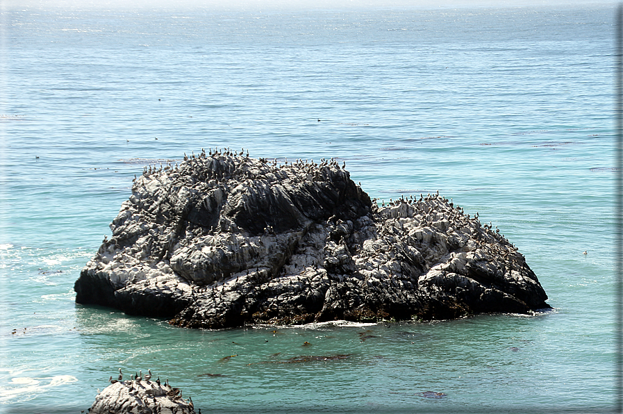 foto Costa del Big Sur